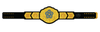 2024 Flower City Tattoo Championship Belt Plate – Gold Floral Edition - Championship BeltschampionbeltsshopChampionship Beltsstandard2024 Flower City Tattoo Championship Belt Plate – Gold Floral Edition