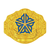 2024 Flower City Tattoo Championship Belt Plate – Gold Floral Edition - Championship BeltschampionbeltsshopChampionship Beltsstandard2024 Flower City Tattoo Championship Belt Plate – Gold Floral Edition