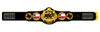 360° Pro Central Texas Wrestling Champion Belt Plate – Gold Edition - Championship BeltschampionbeltsshopChampionship Beltsstandard360° Pro Central Texas Wrestling Champion Belt Plate – Gold Edition