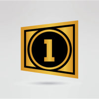 Left side plates of Aaron Eagle wrestling championship belt designed for custom logos and icons