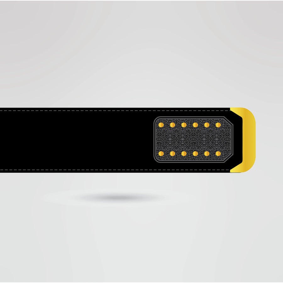 Design of the strap for the Arkansas War Eagles custom championship belt.