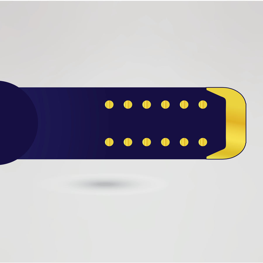 Mexican American Tag Team Championship Belt – Strap Design