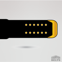 Black championship belt strap with gold tip and adjustment holes