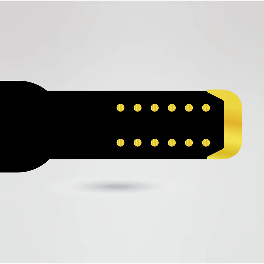 Customizable strap for Heavyweight Wrestling Championship Belt with durable stitching and golden hardware.