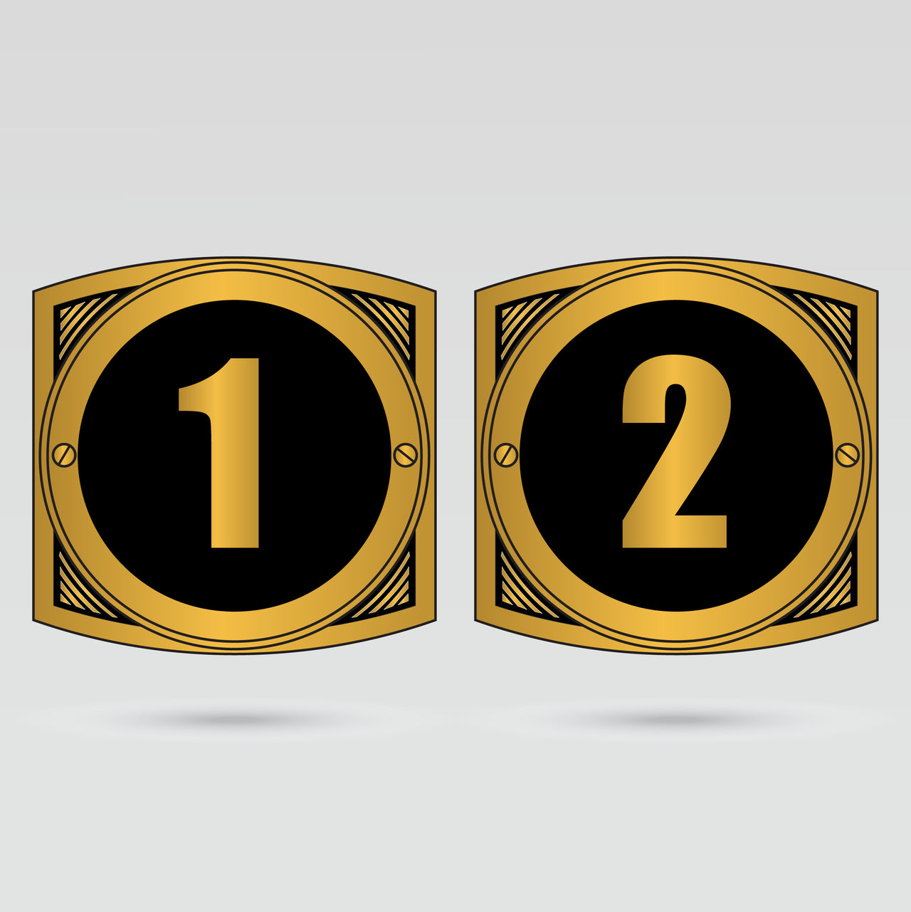Numbered custom side plates for Intercontinental Championship Belt personalization