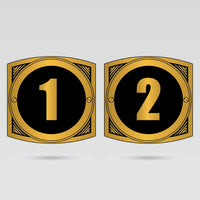 Numbered custom side plates for Intercontinental Championship Belt personalization