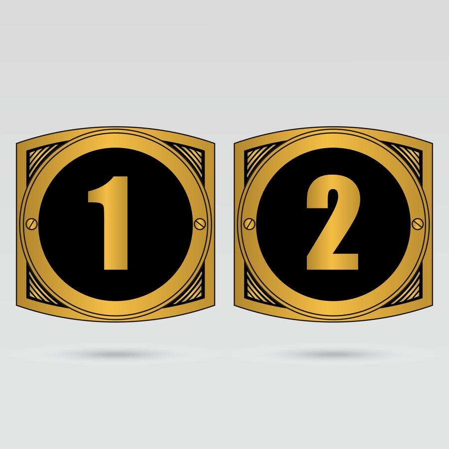 Numbered custom side plates for Intercontinental Championship Belt personalization