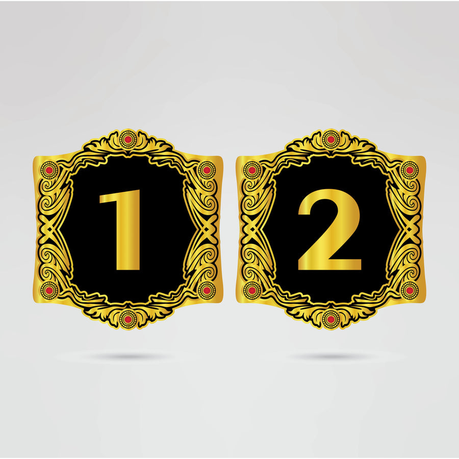 Iron Heart Pro Women’s Championship Belt – Customizable Side Plates with Logo/Text