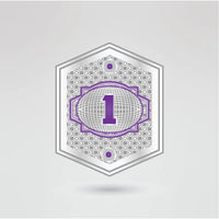 First customizable side plate for the KTW custom championship belt.