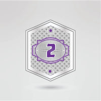 Second customizable side plate for the KTW custom championship belt.