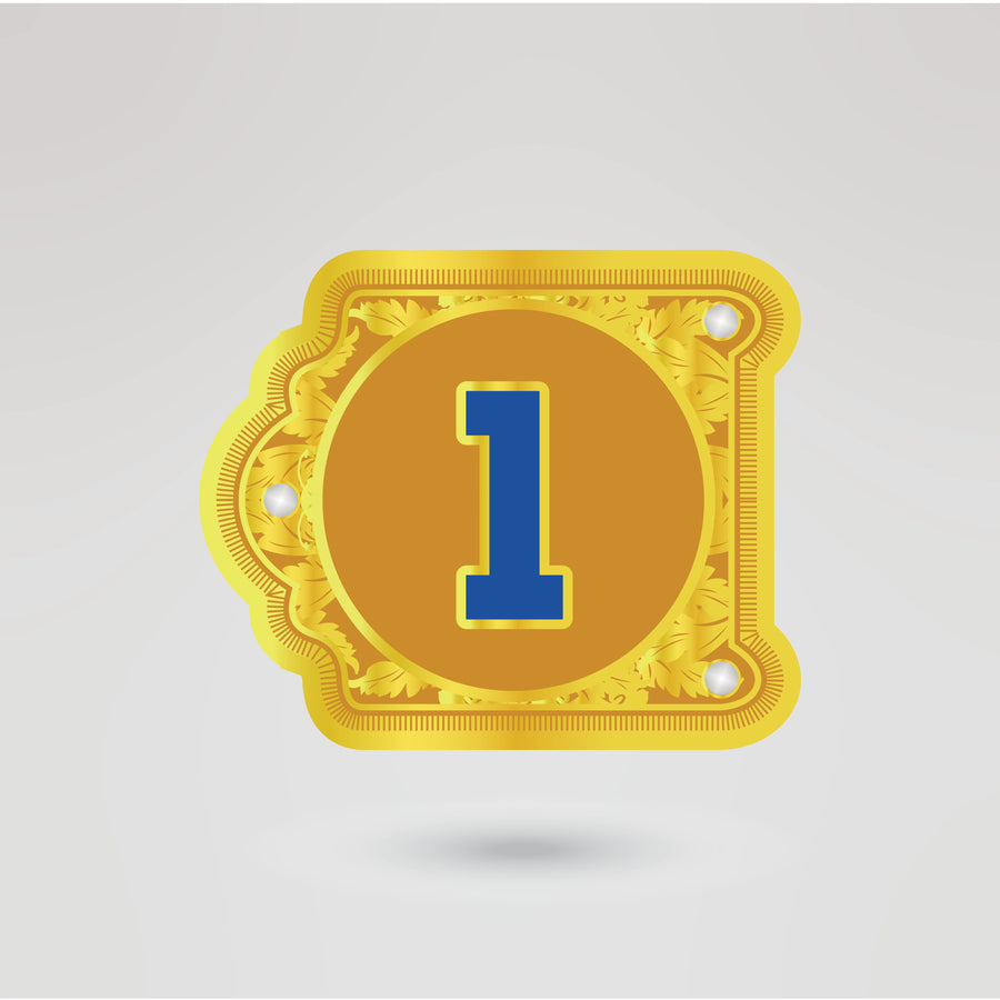 Custom left side plate design for personalized Lions International championship belt.