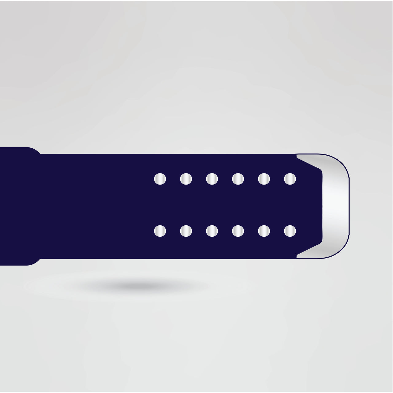 Personalized strap design for the IPW Championship Belt with customization options.