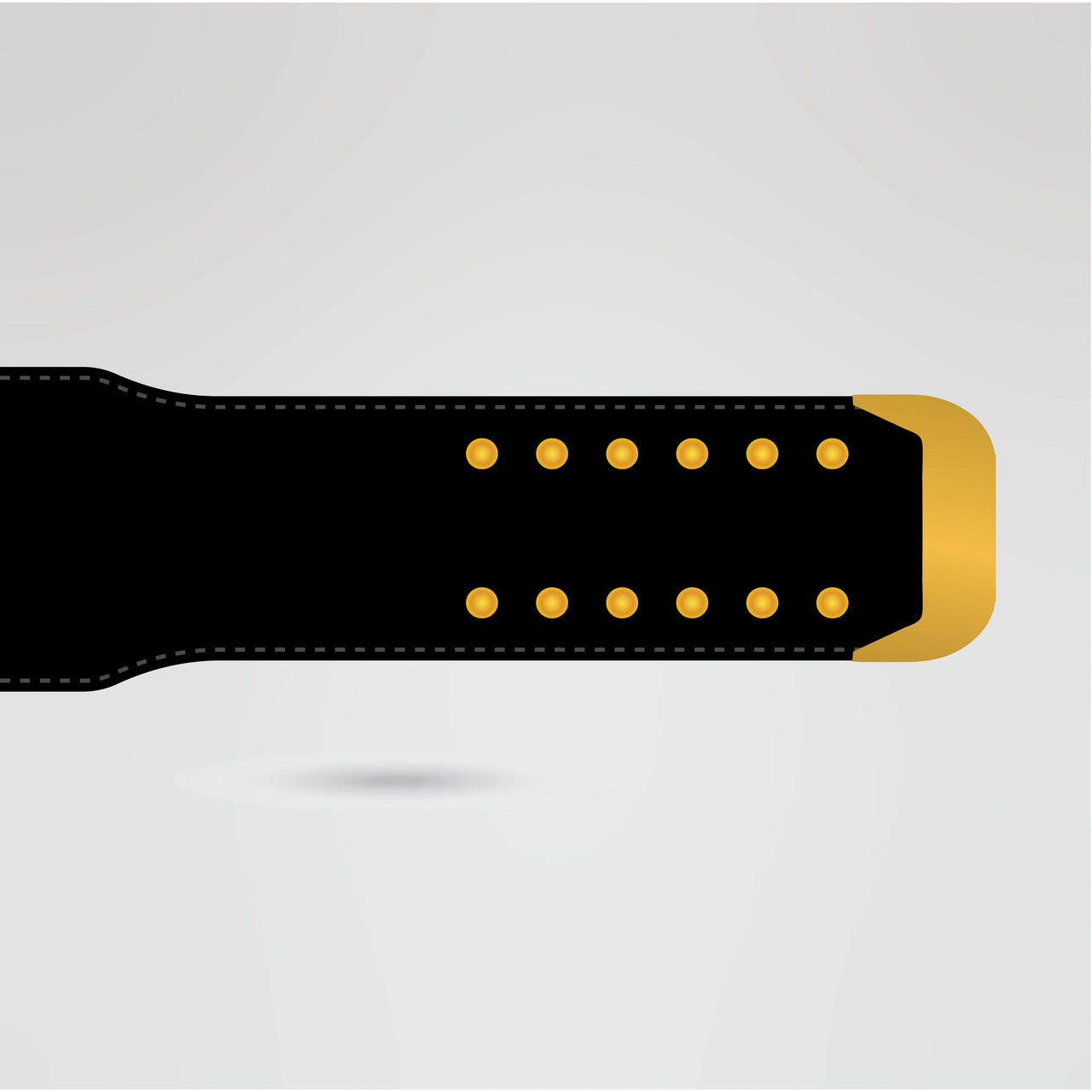 Personalized strap design for the Impact World Championship Belt.