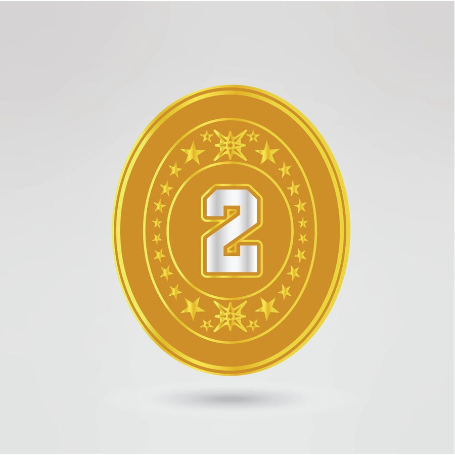 Customizable side plate for personalized design on a championship wrestling belt.