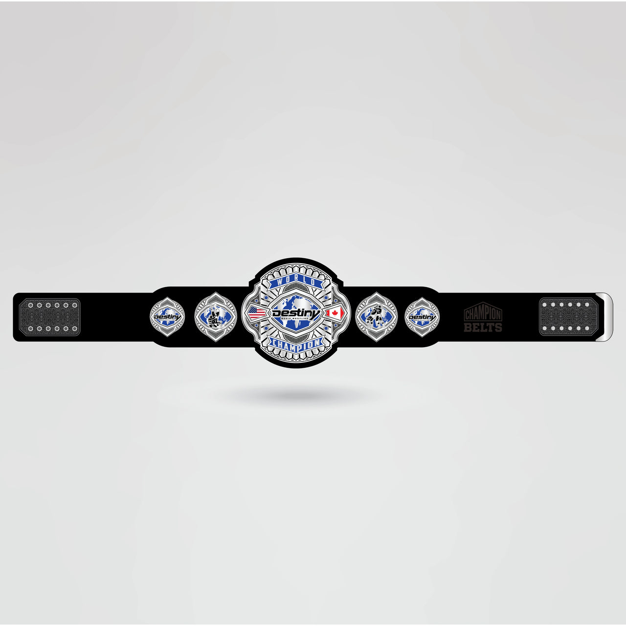Real-life example of the fully customizable Destiny Wrestling Champion belt with logos and text.