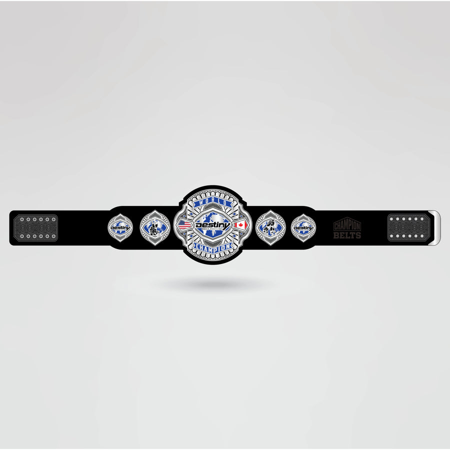 Real-life example of the fully customizable Destiny Wrestling Champion belt with logos and text.