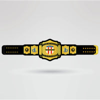 Real-life example of a fully customized Victory Pro Wrestling Tag Team Championship belt with logos and text.