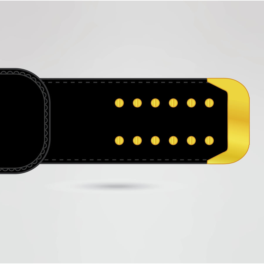 The strap of the WPW Tag Team Championship Belt, designed for comfort and durability with gold accents.