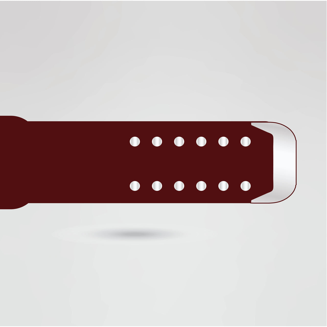 Custom KTW Wrestling Belt Strap with Premium Quality Detailing