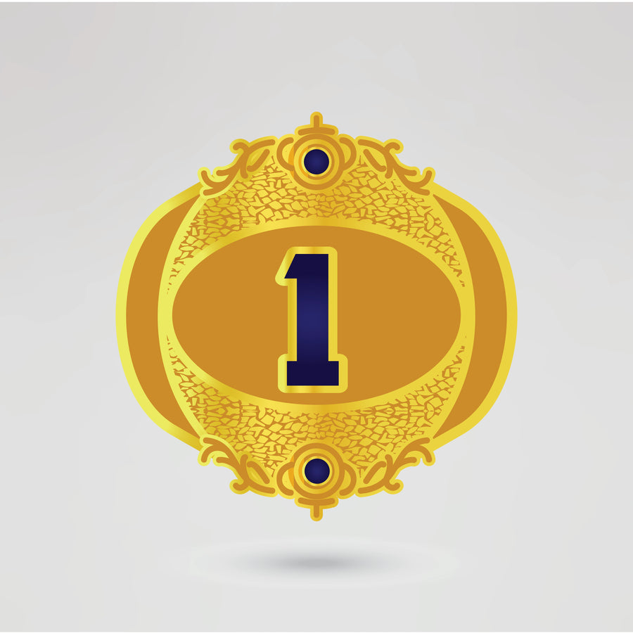 Custom left side plate design for Mexican American Tag Team Wrestling Championship Belt.