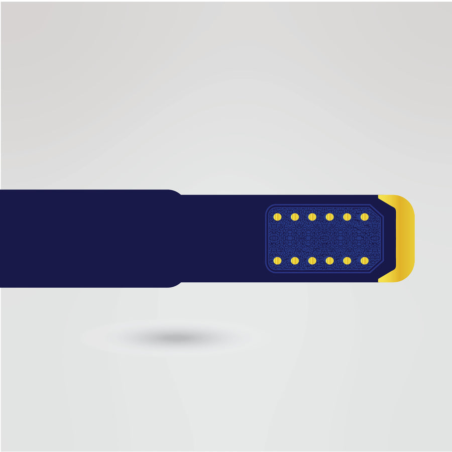Blue strap with gold accents for Michigan Big 12X Champion Wrestling Belt.