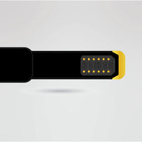 Customizable strap design for the Quebec Wrestling Championship Belt.