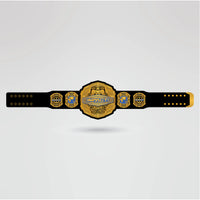 Fully designed Impact World Championship Belt with custom logos, text, and side plates.