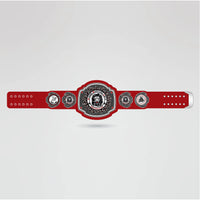 Real-life example of a custom Martial Arts Championship Belt featuring personalized main and side plates.