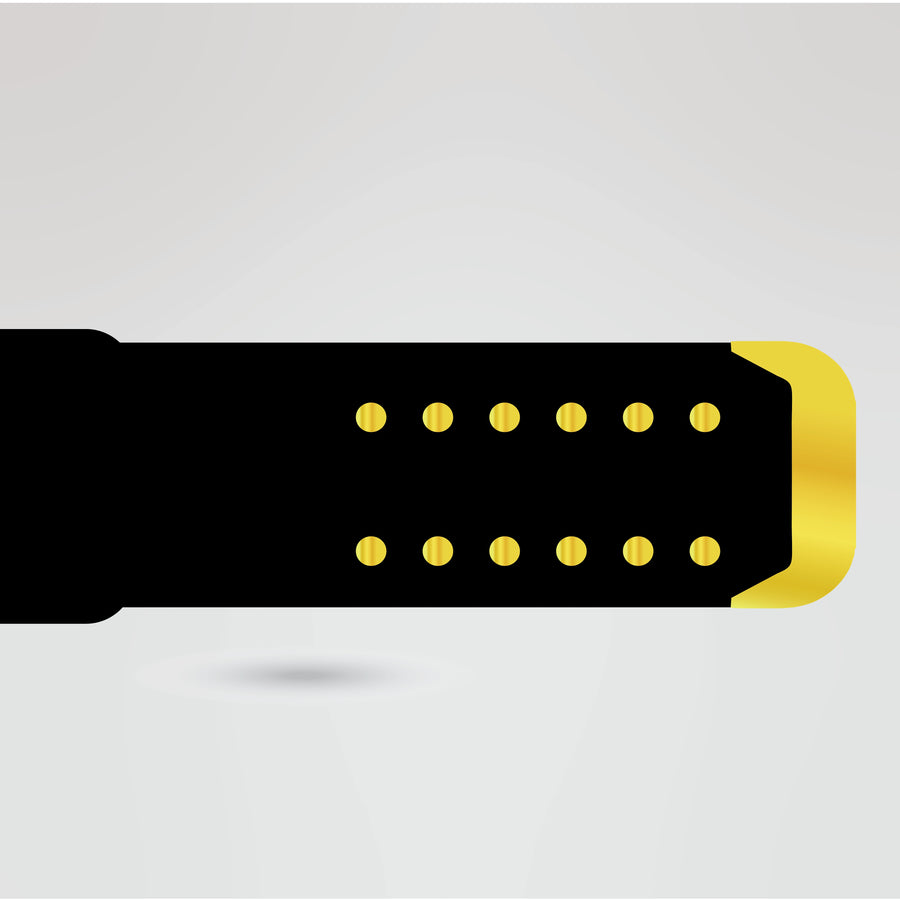 Black strap with gold accents for Robby and Island Championship Belt.
