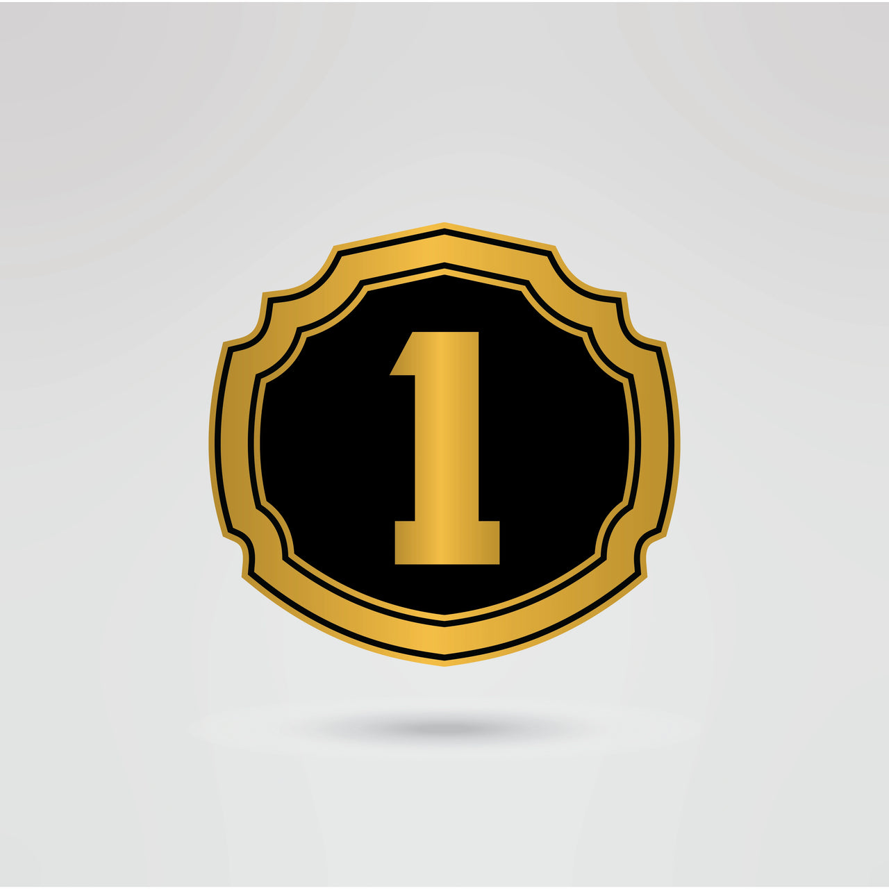 Customizable left side plate for the Stone Cold Steve Austin wrestling championship belt