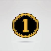 Customizable left side plate for the Stone Cold Steve Austin wrestling championship belt