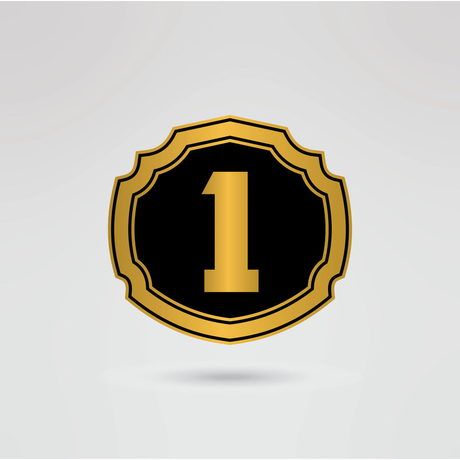 Customizable left side plate for the Stone Cold Steve Austin wrestling championship belt