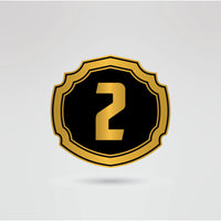 Customizable right side plate for the Stone Cold Steve Austin wrestling belt