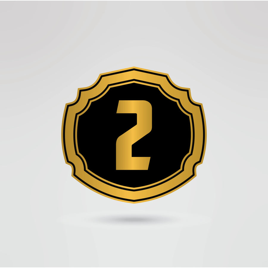 Customizable right side plate for the Stone Cold Steve Austin wrestling belt