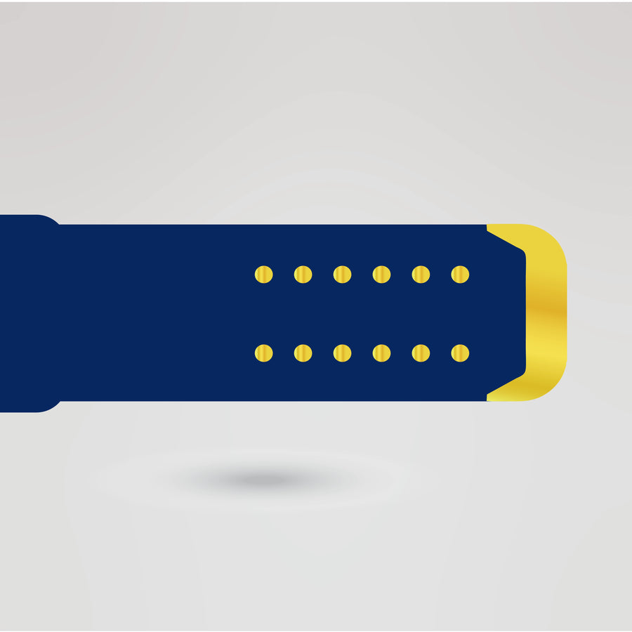 High-quality blue strap with gold metallic accents for the Tennessee Titans Tag-Team Championship Belt