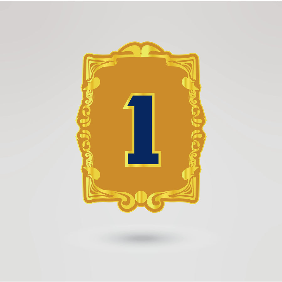 Customizable left side plate for the Tennessee Titans Tag-Team Championship Belt