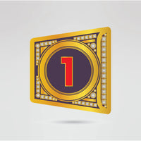 Custom side plates for the YEET Championship belt with logo and number placeholders