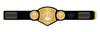 Arizona Wrestling Champion Belt Plate – Silver & Gold Desert Edition - Championship BeltschampionbeltsshopChampionship BeltsstandardArizona Wrestling Champion Belt Plate – Silver & Gold Desert Edition