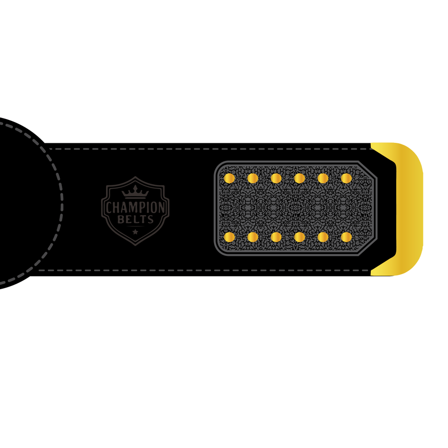 Arkansas War Eagles Championship Belt Plate – Black & Gold Edition - Championship BeltschampionbeltsshopChampionship BeltsstandardArkansas War Eagles Championship Belt Plate – Black & Gold Edition