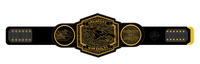Arkansas War Eagles Championship Belt Plate – Black & Gold Edition - Championship BeltschampionbeltsshopChampionship BeltsstandardArkansas War Eagles Championship Belt Plate – Black & Gold Edition