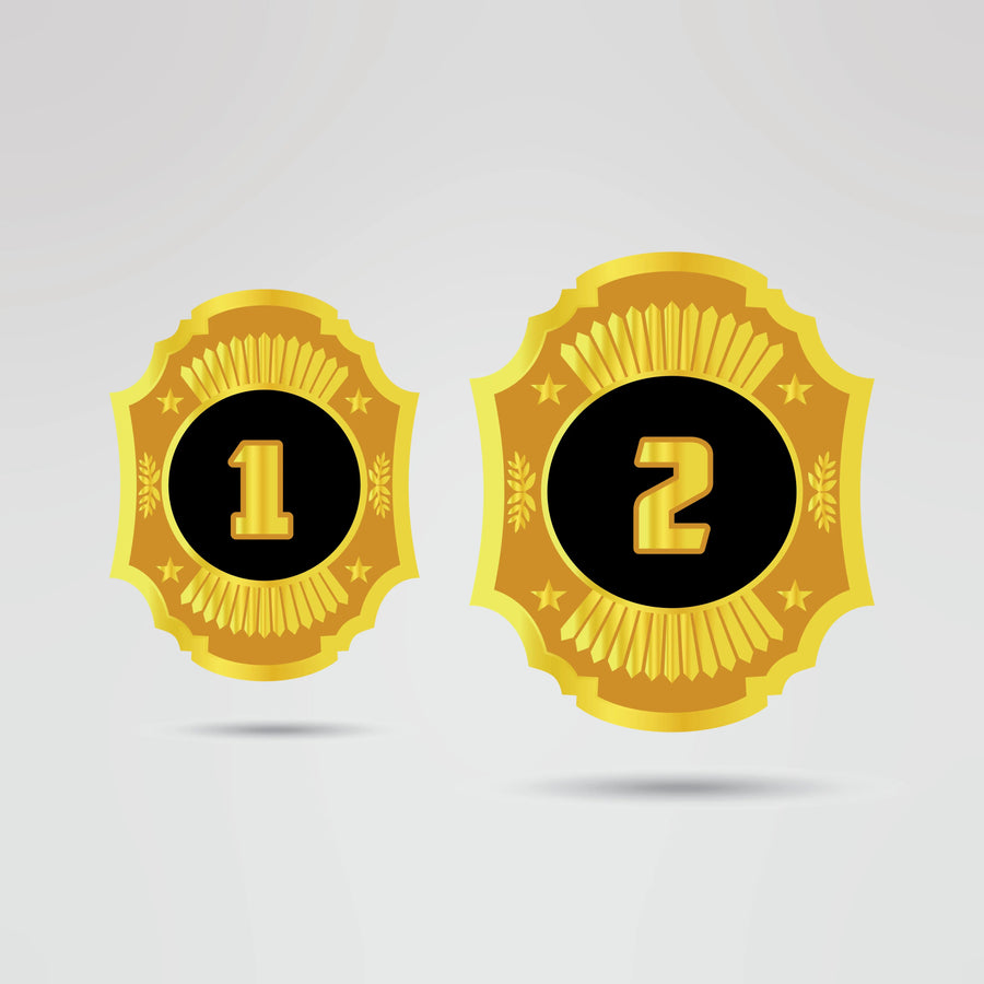 Custom Big Boyz World Championship Belt - Championship BeltsWorld ChampionshipchampionbeltsshopChampionship BeltsStandard 2mm Thick PlatesFour customizable side plates on championship wrestling belt with numbered positions