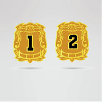 Custom Campeonato Histórico Champion Belt - Championship BeltsChampion BeltchampionbeltsshopChampionship BeltsStandard 2mm Thick PlatesCustom side plates 1 and 2 of Campeonato Histórico Champion Belt