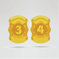 Custom Charlie's Champion Belt - Championship BeltsCharlie'schampionbeltsshopChampionship BeltsStandard 2mm Thick PlatesCustom side plates 3 and 4 of Charlie's Champion Bel