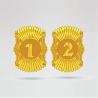 Custom Charlie's Champion Belt - Championship BeltsCharlie'schampionbeltsshopChampionship BeltsStandard 2mm Thick PlatesCustom side plates 1 and 2 of Charlie's Champion Belt