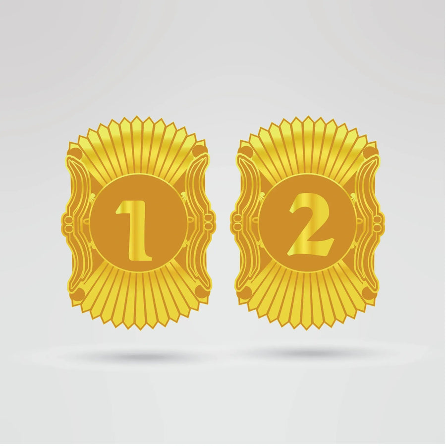 Custom Charlie's Champion Belt - Championship BeltsCharlie'schampionbeltsshopChampionship BeltsStandard 2mm Thick PlatesCustom side plates 1 and 2 of Charlie's Champion Belt