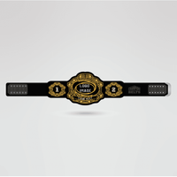 Custom Cornhole Champion Championship Belt - Championship BeltsCustom CornholechampionbeltsshopChampionship BeltsStandard 2mm Thick PlatesTemplate showing customizable areas of the Cornhole Champion championship belt.