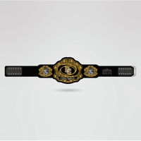 Custom Cornhole Champion Championship Belt - Championship BeltsCustom CornholechampionbeltsshopChampionship BeltsStandard 2mm Thick PlatesReal - life image of the customizable Cornhole Champion belt with a gold finish.