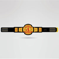 Custom CPW International Champion Belt - Championship BeltsCPWchampionbeltsshopChampionship BeltsStandard 2mm Thick PlatesCustom CPW International Champion Belt with golden globe design and black strap