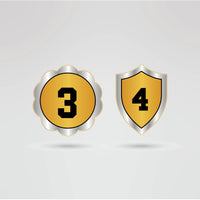 Custom CPW Lioness Tag Team Champion Belt - Championship BeltsTag TeamchampionbeltsshopChampionship BeltsStandard 2mm Thick PlatesCustom side plates 3 and 4 of CPW Lioness Tag Team Champion Belt