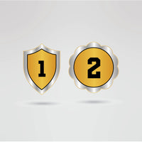 Custom CPW Lioness Tag Team Champion Belt - Championship BeltsTag TeamchampionbeltsshopChampionship BeltsStandard 2mm Thick PlatesCustom side plates 1 and 2 of CPW Lioness Tag Team Champion Belt